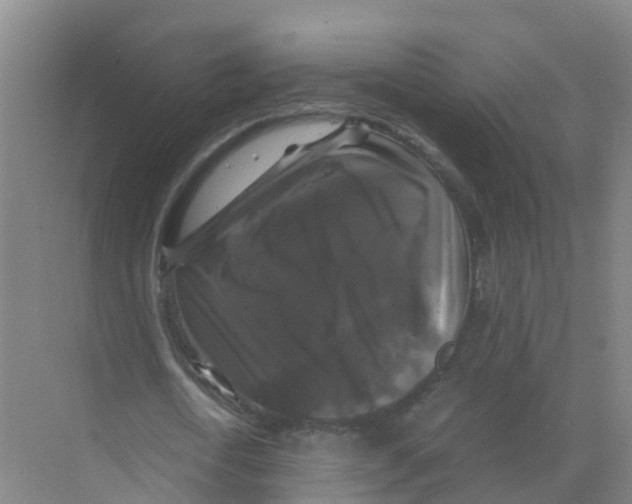 X0000070170722200606231920