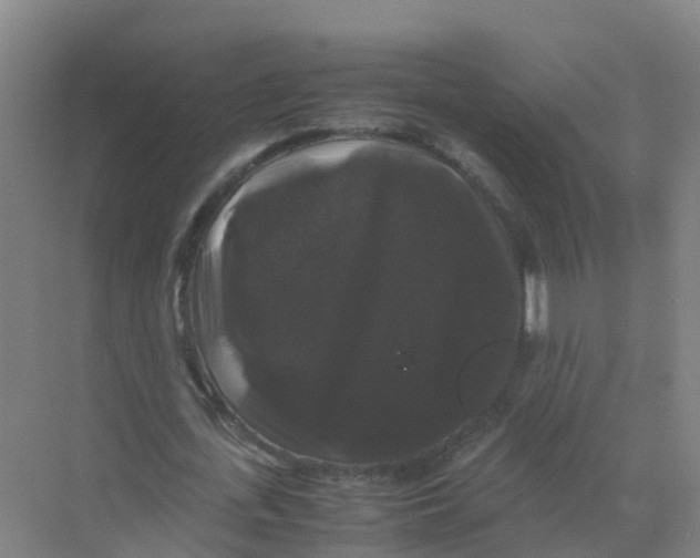 X0000070170723200606231920