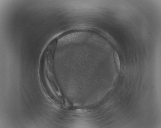 X0000070170724200606231920