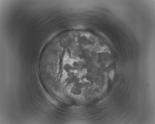 X0000070170725200606231920