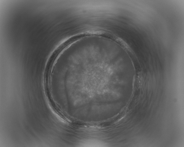 X0000070170726200606231920