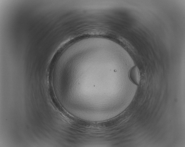 X0000070170727200606231920