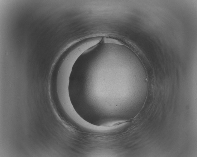 X0000070170728200606231920