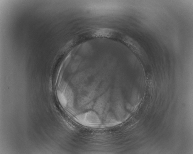 X0000070170729200606231920