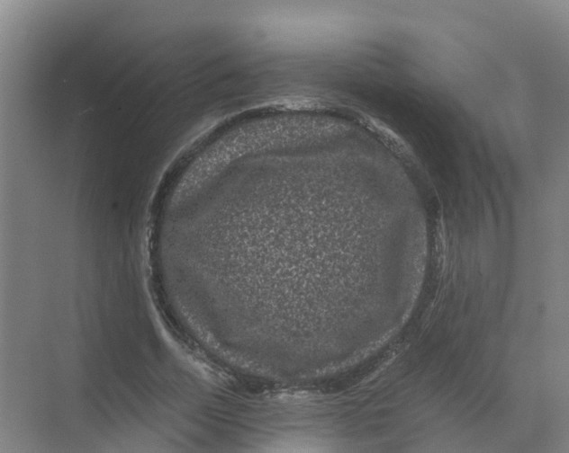 X0000070170730200606231920