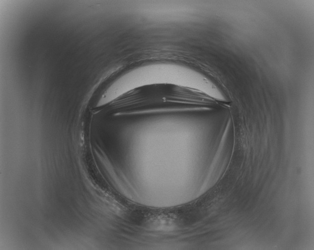 X0000070170731200606231920