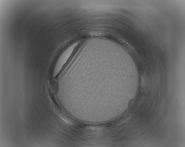 X0000070170733200606231920