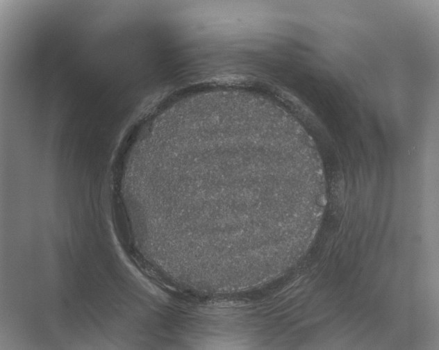 X0000070170734200606231920