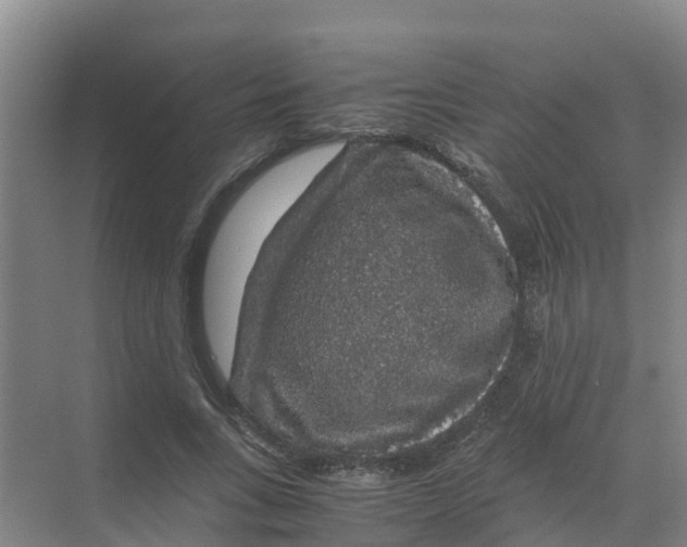 X0000070170735200606231920