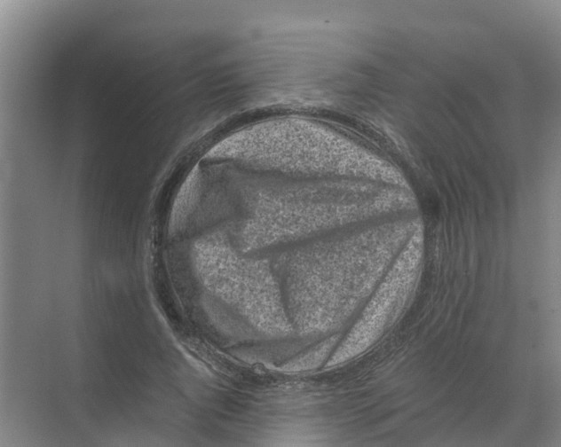 X0000070170736200606231920