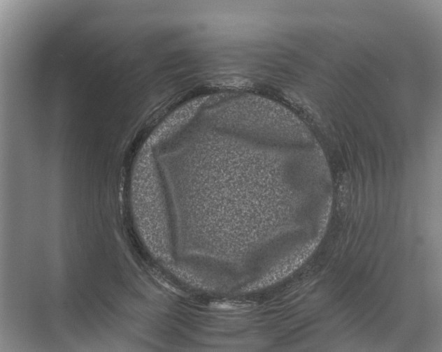 X0000070170739200606231920