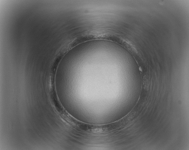 X0000070170740200606231920