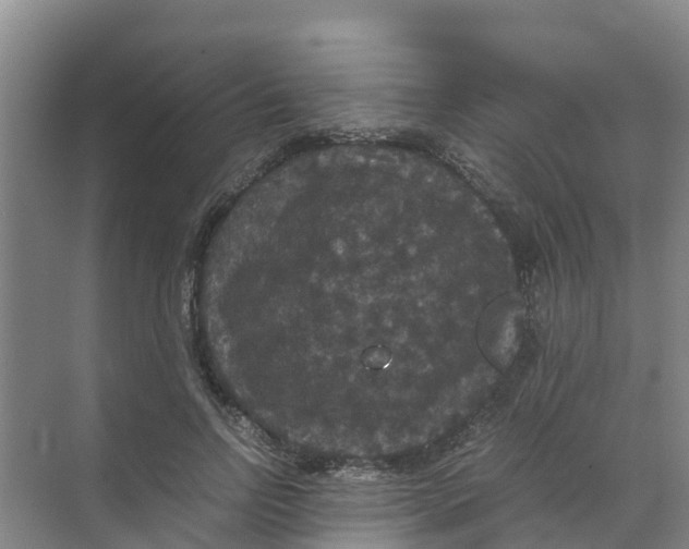 X0000070170742200606231920