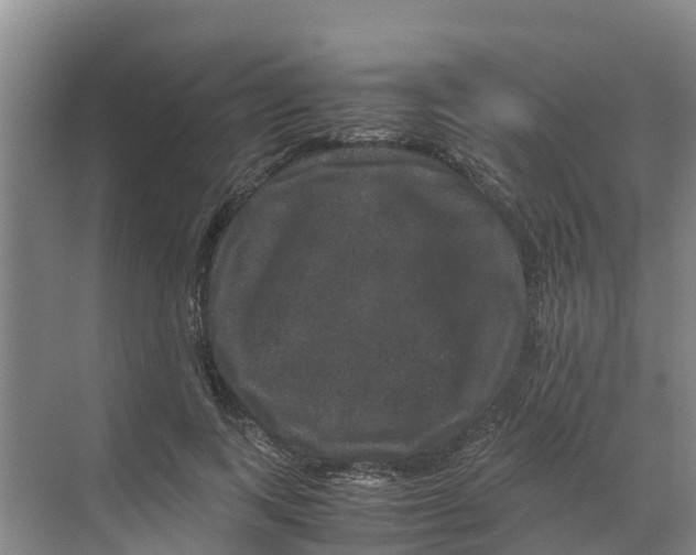 X0000070170743200606231920