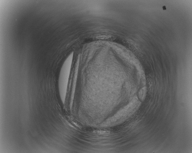 X0000070170745200606231920