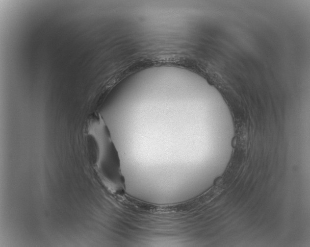 X0000070170746200606231920