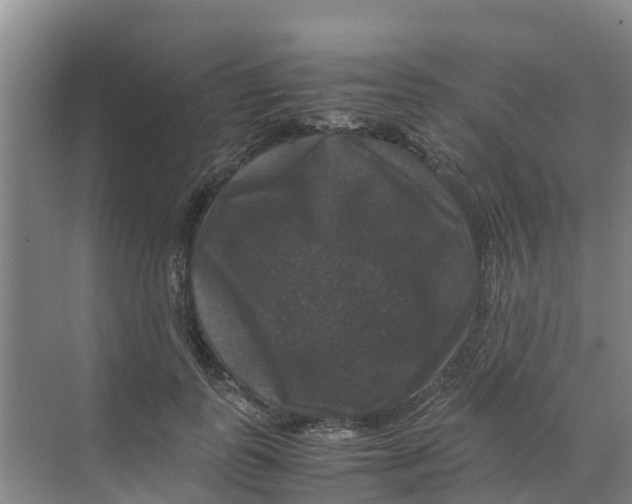 X0000070170747200606231920