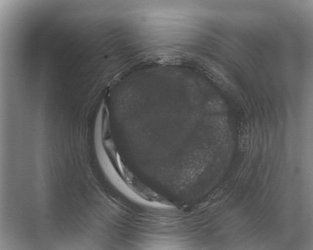 X0000070170748200606231920