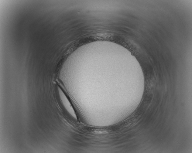 X0000070170749200606231920