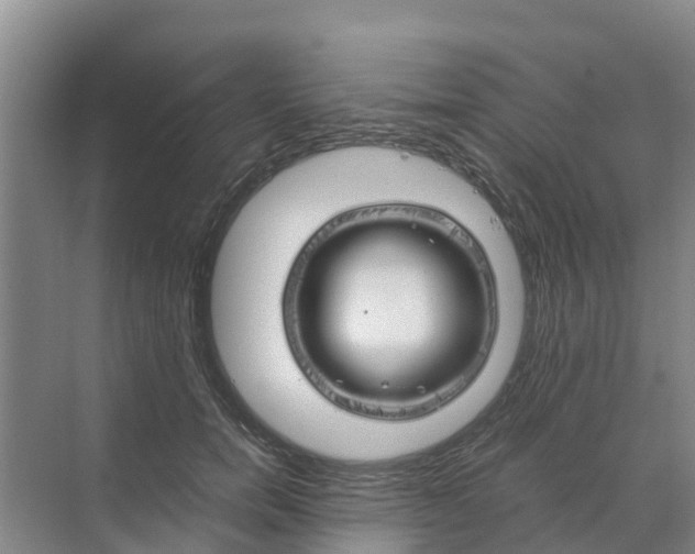 X0000070170750200606231920