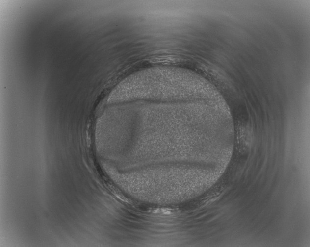 X0000070170751200606231920