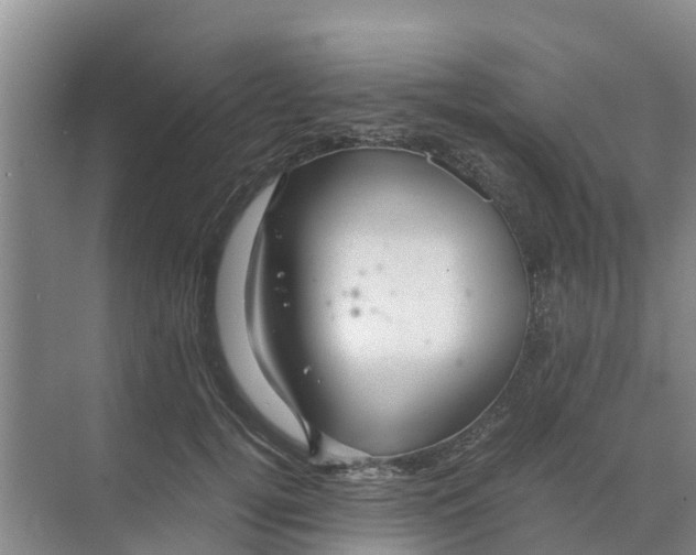 X0000070170752200606231920