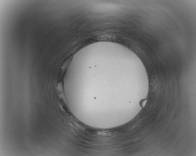 X0000070170753200606231920