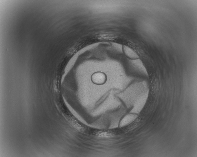 X0000070170755200606231920