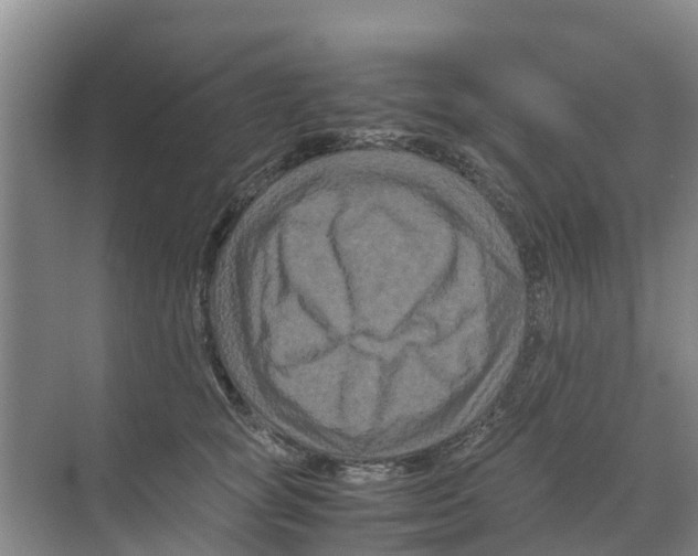 X0000070170757200606231920