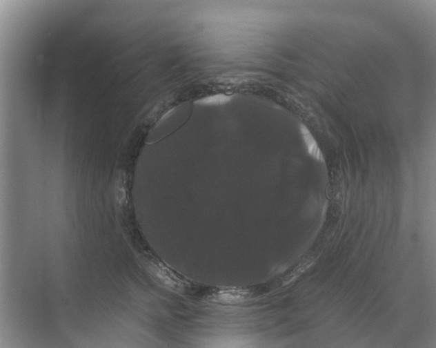 X0000070170758200606231920