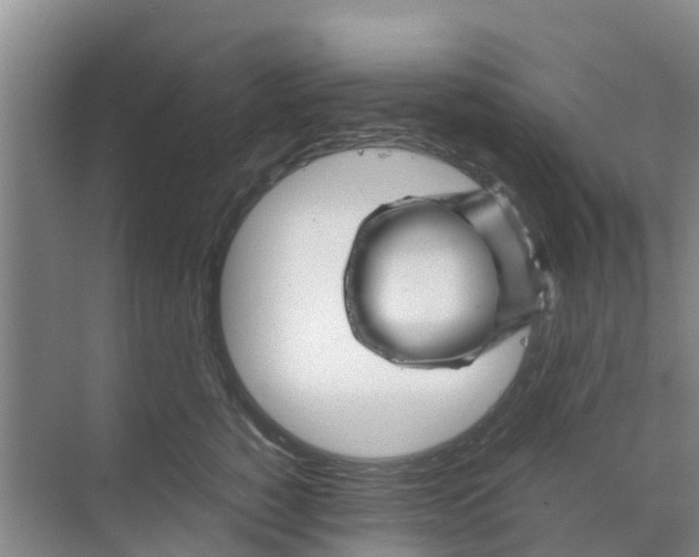 X0000070170760200606231921