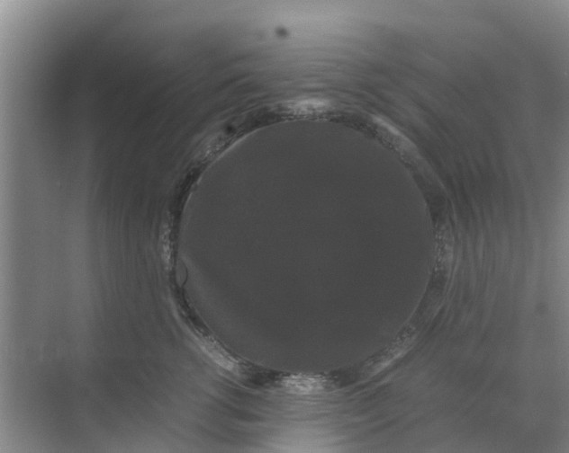 X0000070170762200606231921