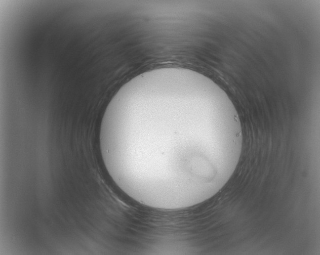 X0000070170764200606231921