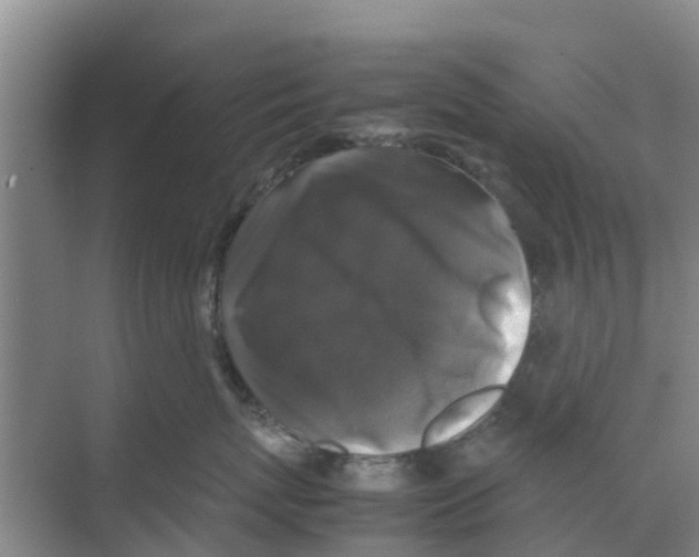 X0000070170767200606231921