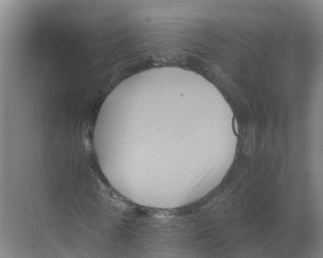 X0000070170770200606231920