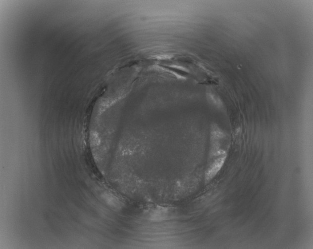 X0000070170772200606231920