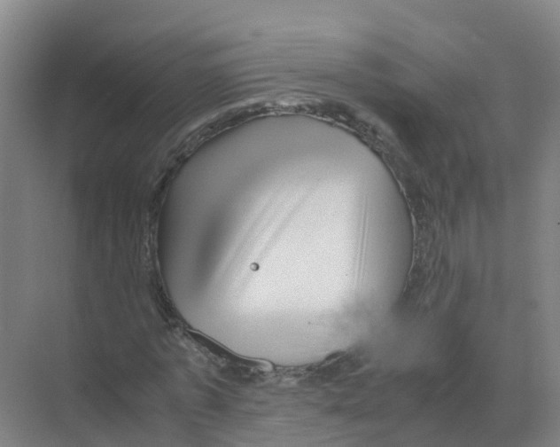 X0000070170773200606231920