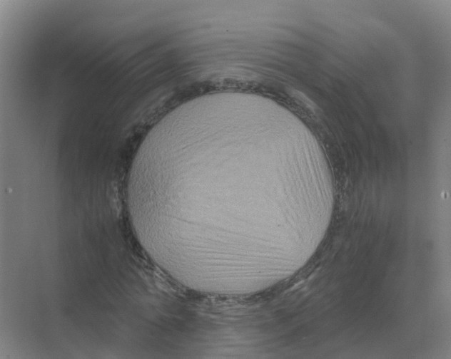 X0000070170774200606231920