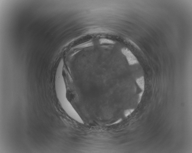 X0000070170775200606231920