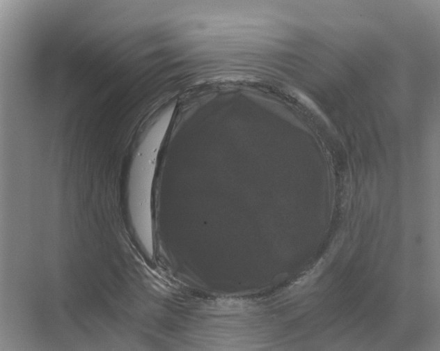 X0000070170777200606231920