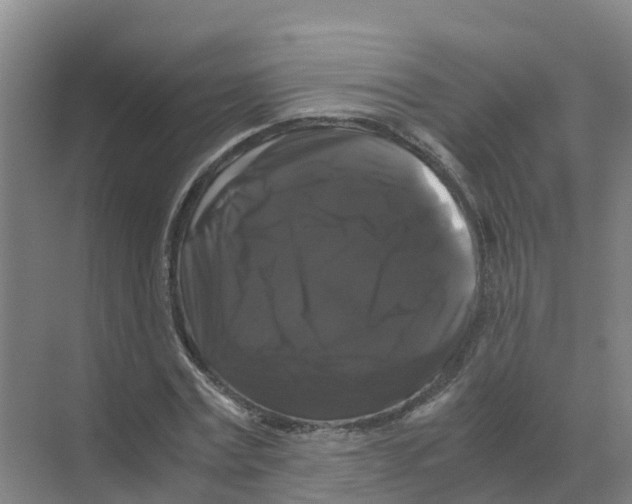 X0000070170779200606231920