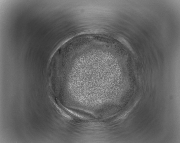 X0000070170781200606231920