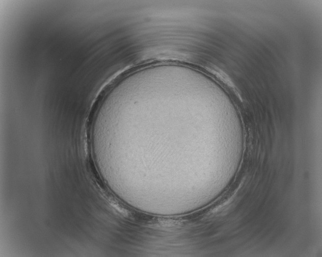 X0000070170782200606231920