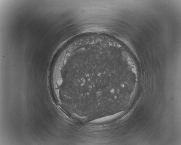 X0000070170783200606231920