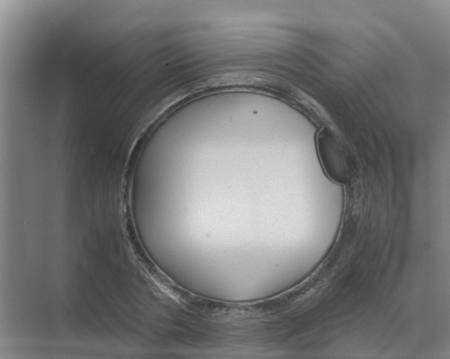 X0000070170786200606231920