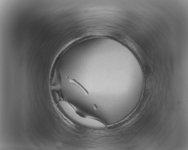 X0000070170787200606231920