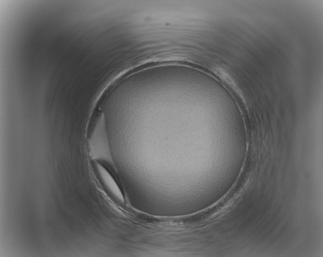 X0000070170789200606231920