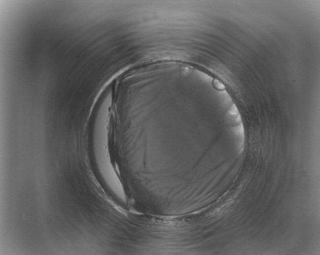 X0000070170790200606231919