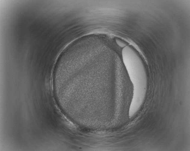 X0000070170791200606231919