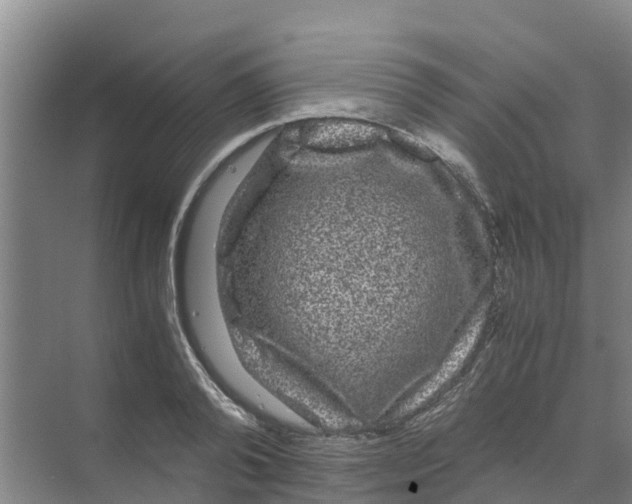 X0000070170792200606231919